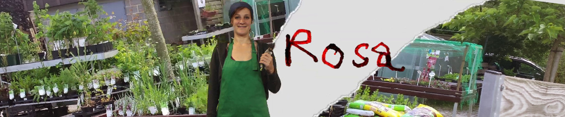 Vidéo « Plongée en Absurdie » : proposez votre idée pour changer le destin de Rosa